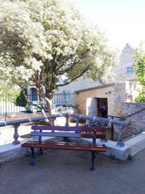 Bench in the museum courtyard