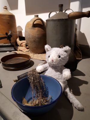 Pola the little cat in Alexis Le Gall's sauce workshop